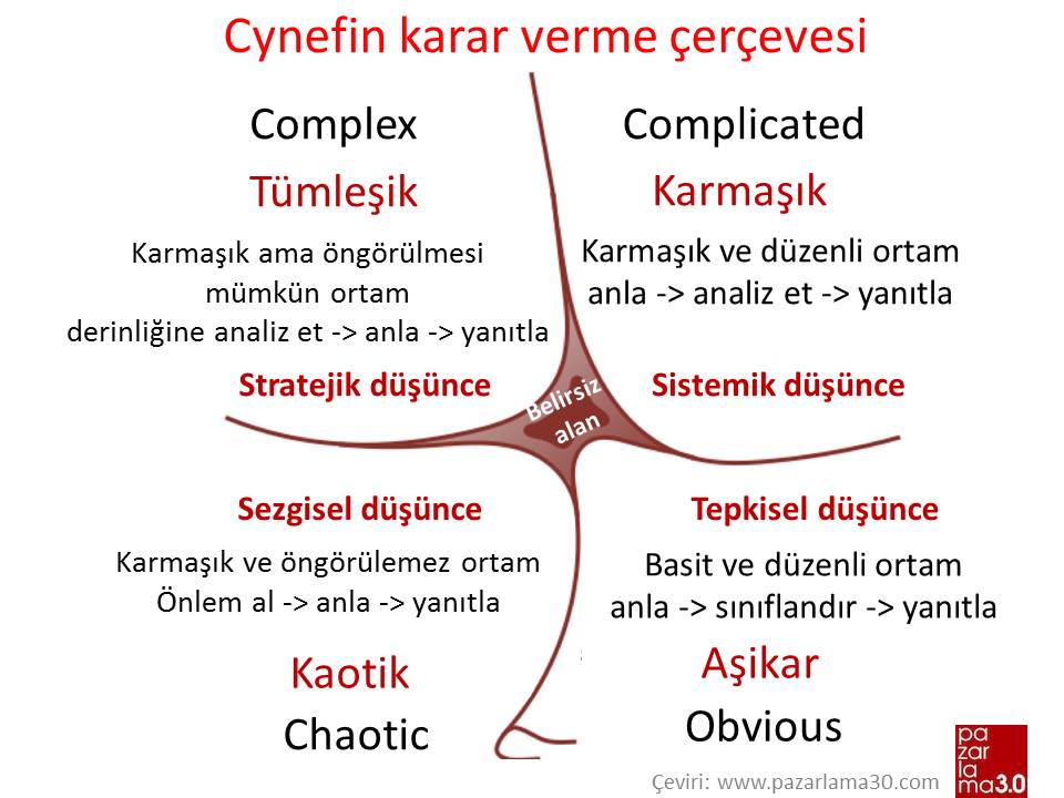 cynefin_cercevesi